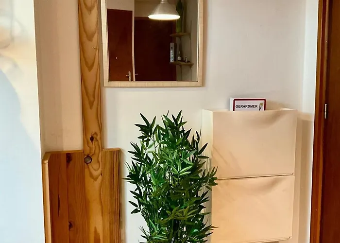 Le Repos Du Voyageur, Pres Centre-ville Et Pistes De Gérardmer